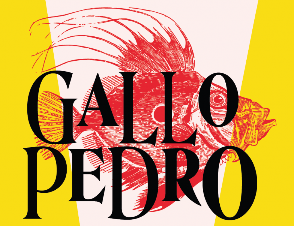 Abierto el plazo para el IX Concurso de Cortometrajes Inclusivos ‘Gallo Pedro’